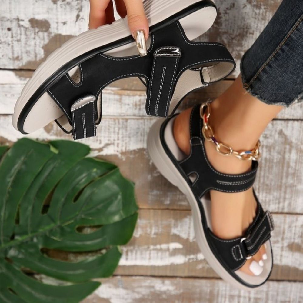 Orthopodys_-_2025-10-17T183430