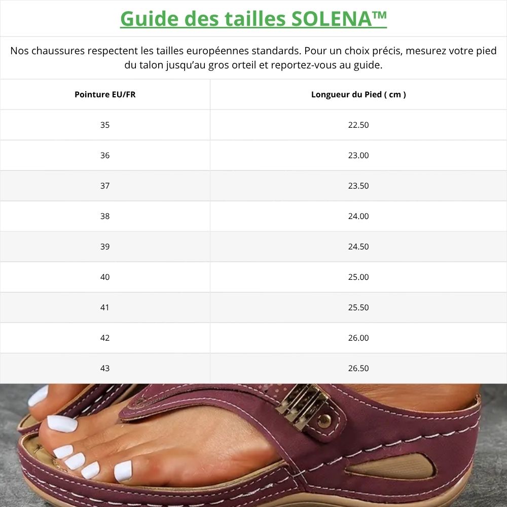 Guide_tailles_chaussures_1460b064-e8b8-4584-bebe-d875318b2608 Image