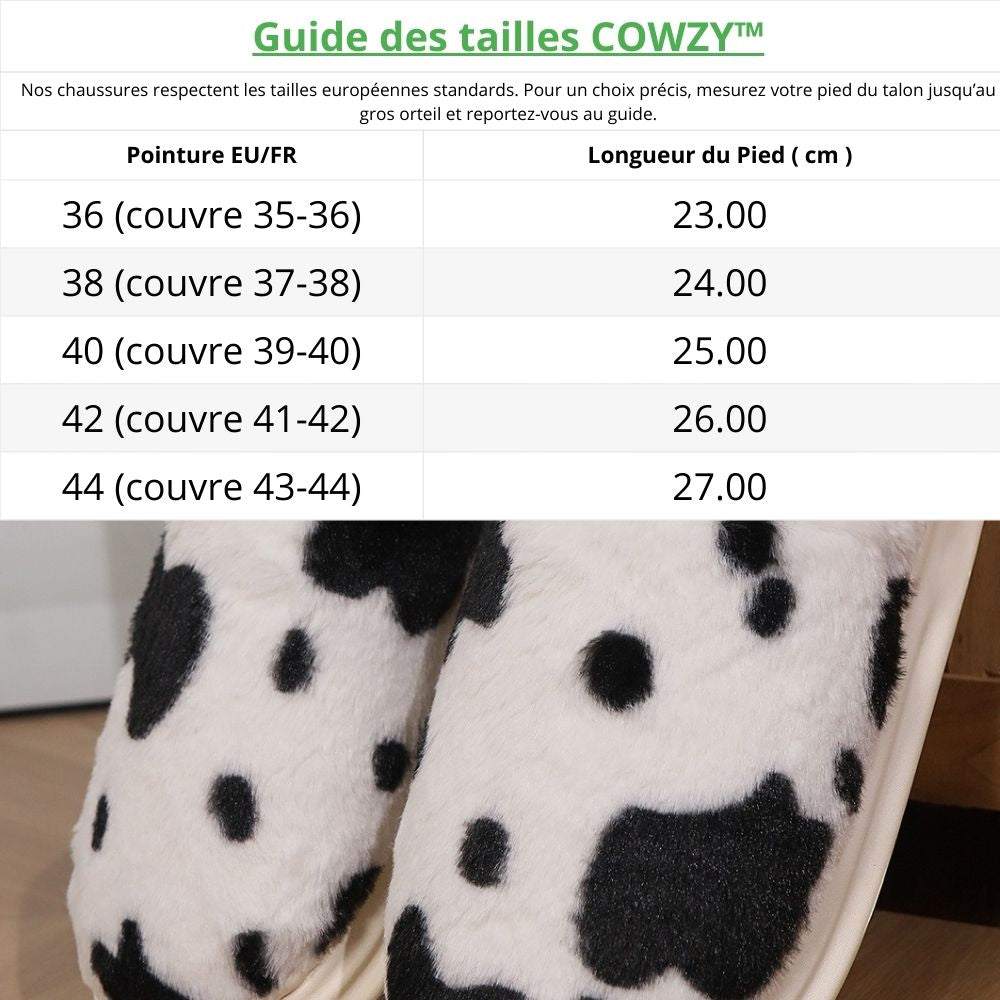 Guide_tailles_chaussures_171d1030-e79c-487b-890b-8cf4d0b308ff Image