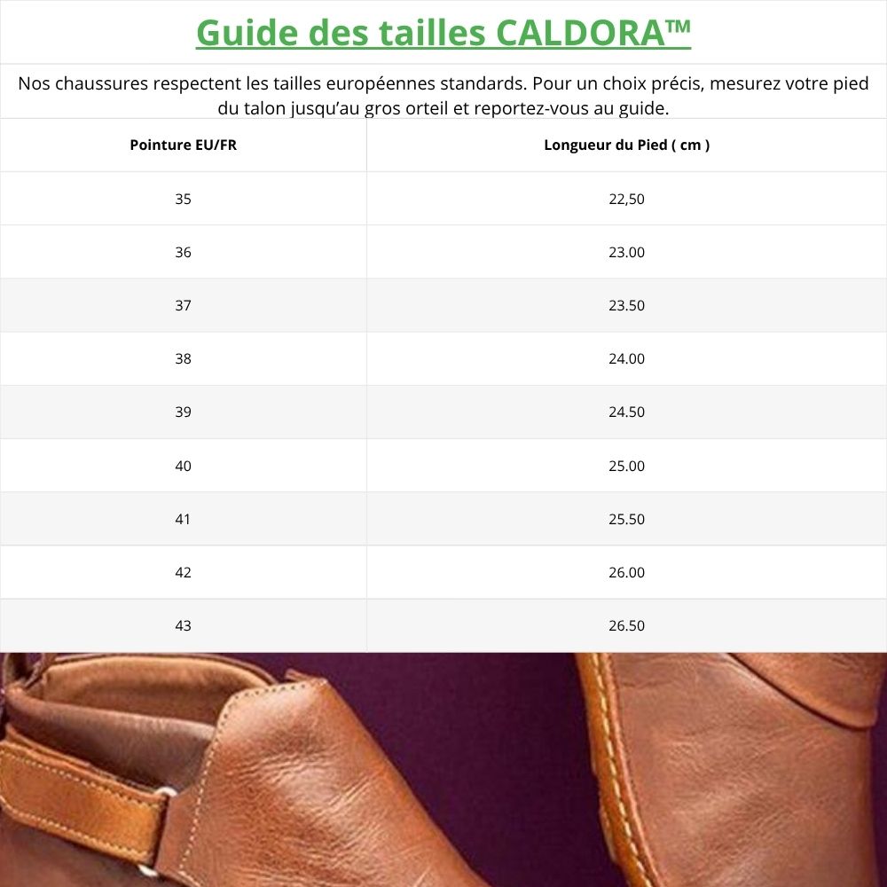 Guide_tailles_chaussures_3a7beef2-f52c-406b-9ec0-6ae047c0902b Image