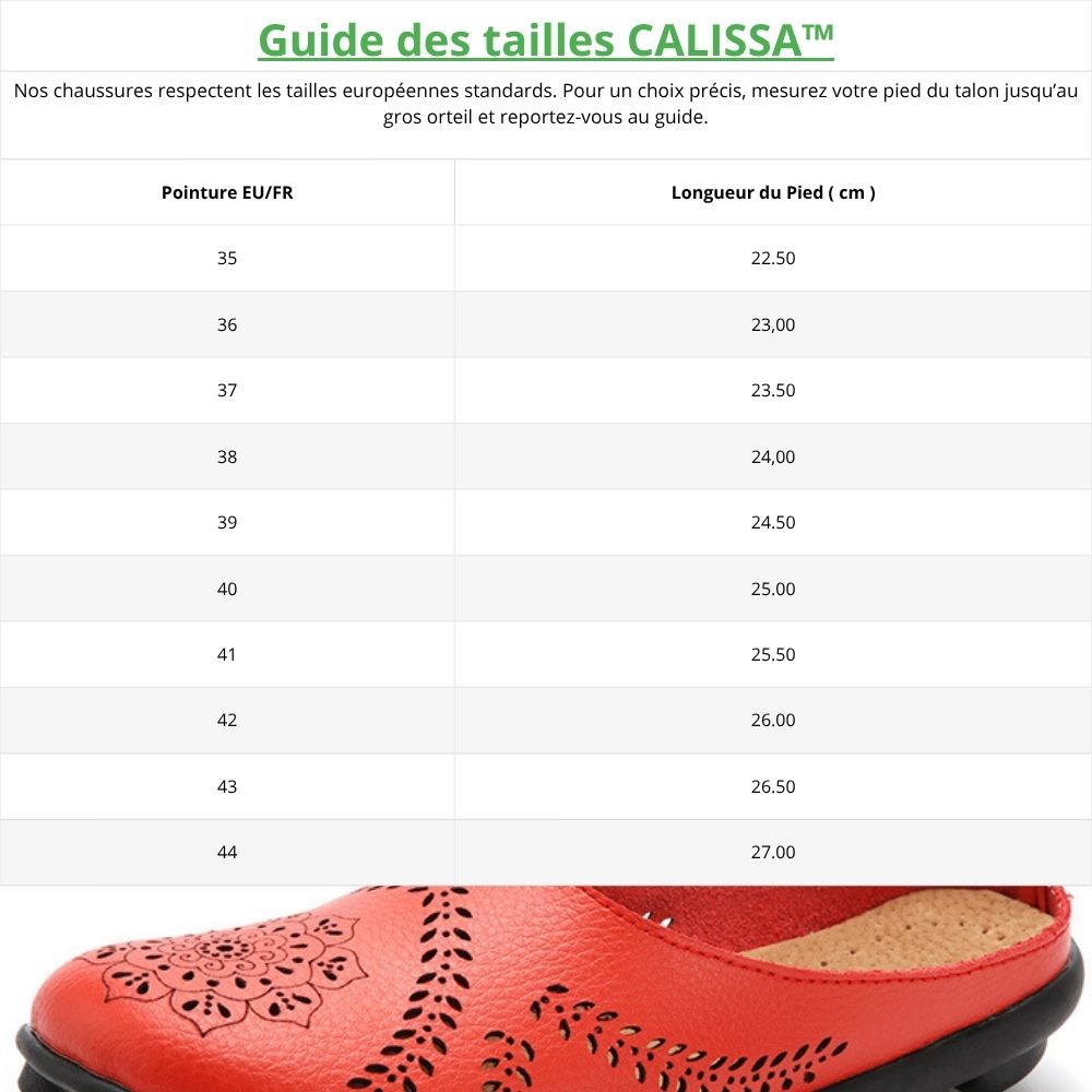 Guide_tailles_chaussures_404b194f-5584-4c5b-894a-69da2e609405 Image