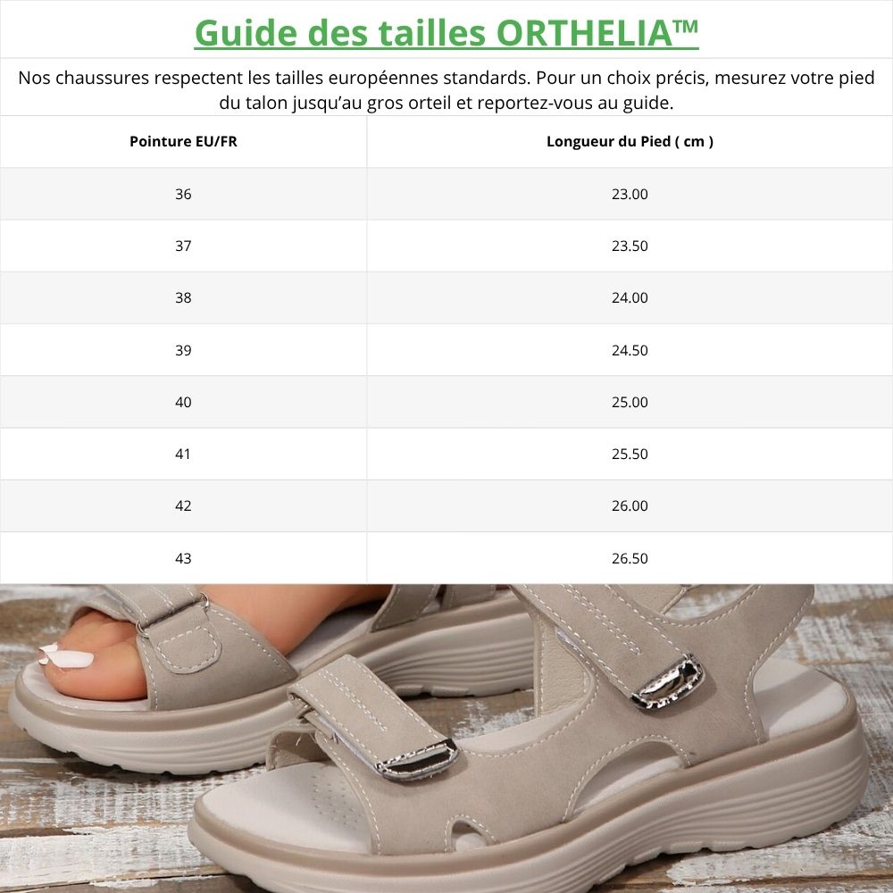 Guide_tailles_chaussures_9 Image