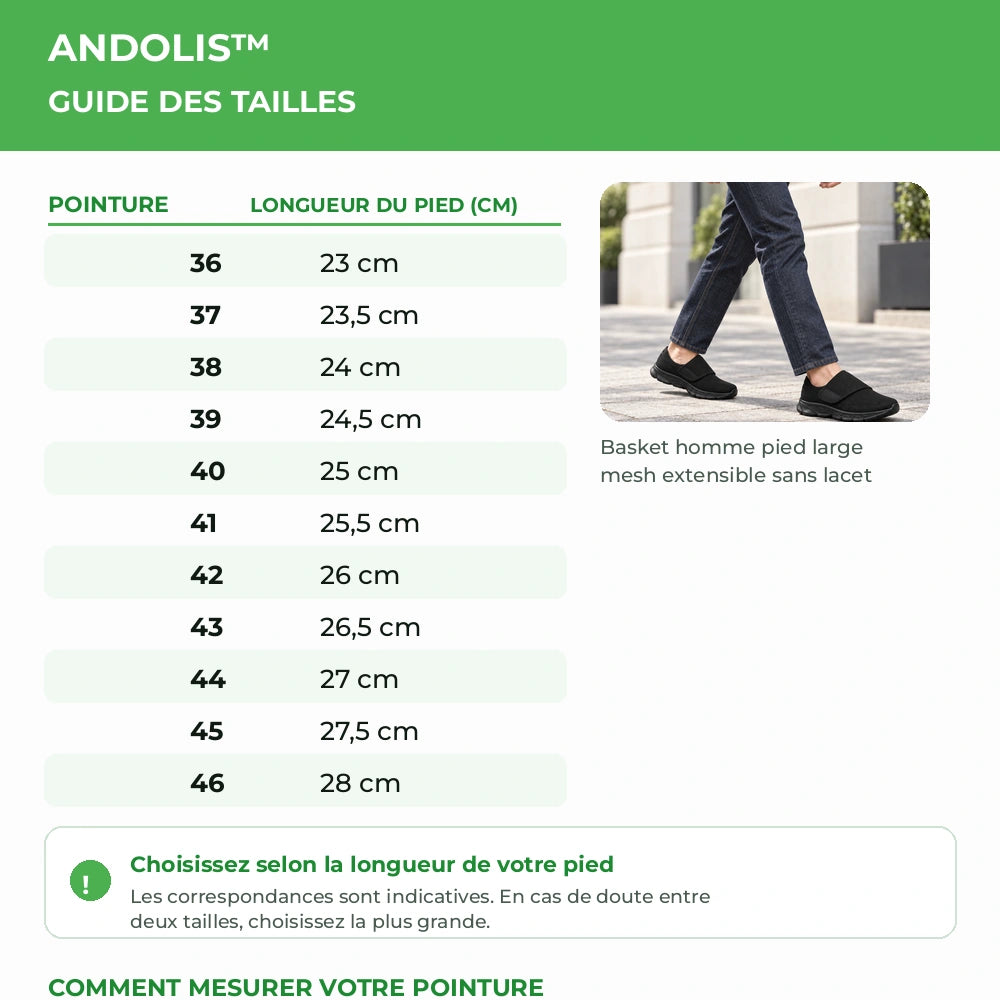 Guide des tailles ANDOLIS™ du 36 au 46 avec longueur indicative du pied en centimètres Image