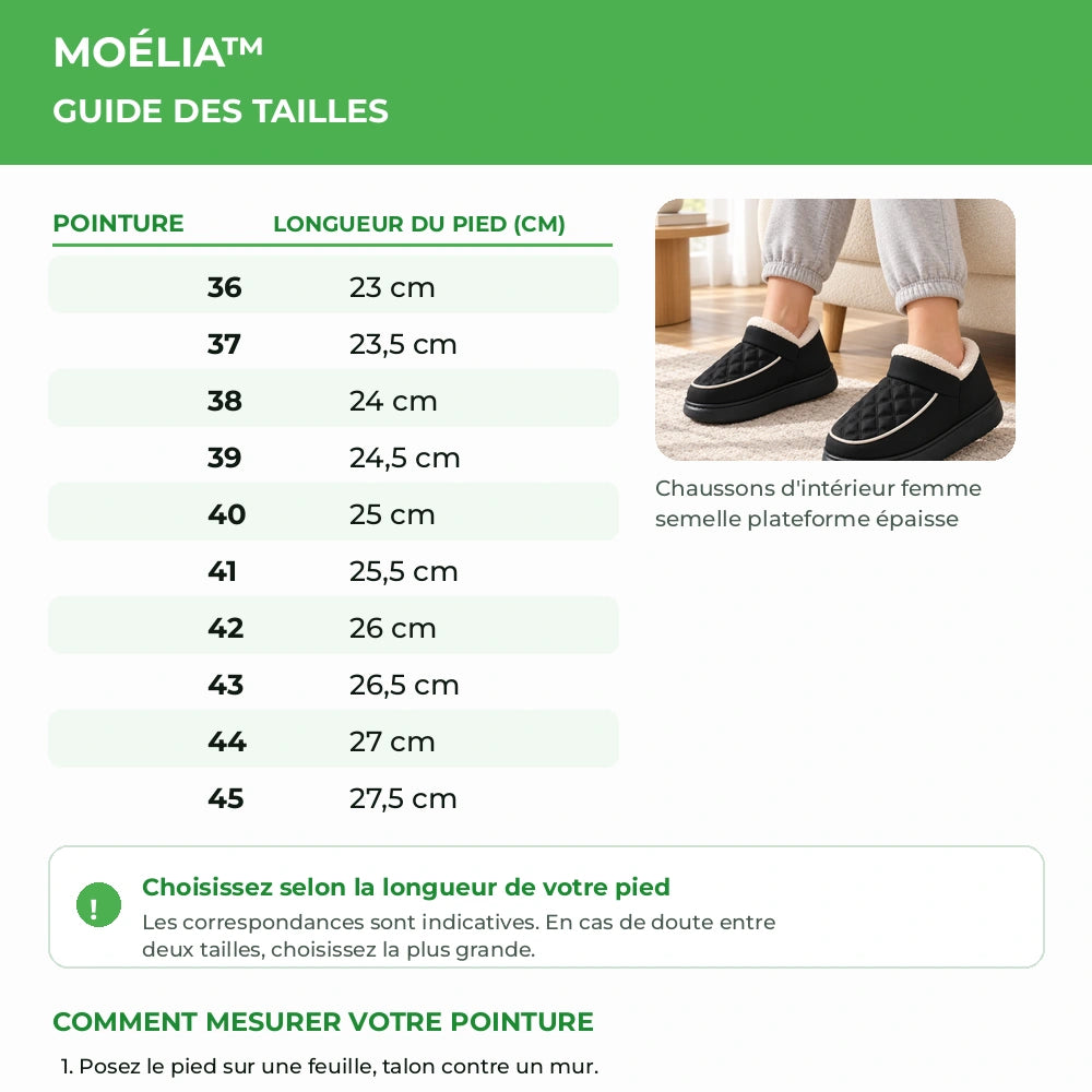 Guide des tailles MOÉLIA™ du 36 au 45 avec longueur indicative du pied en centimètres Image